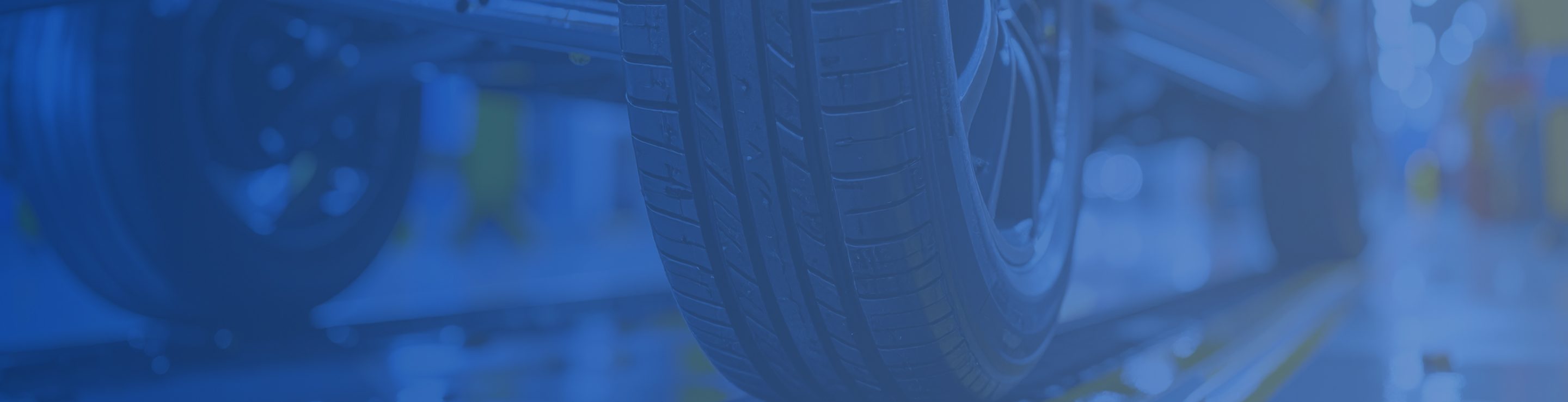 ペット用品のパンフレットとウェブサイト翻訳