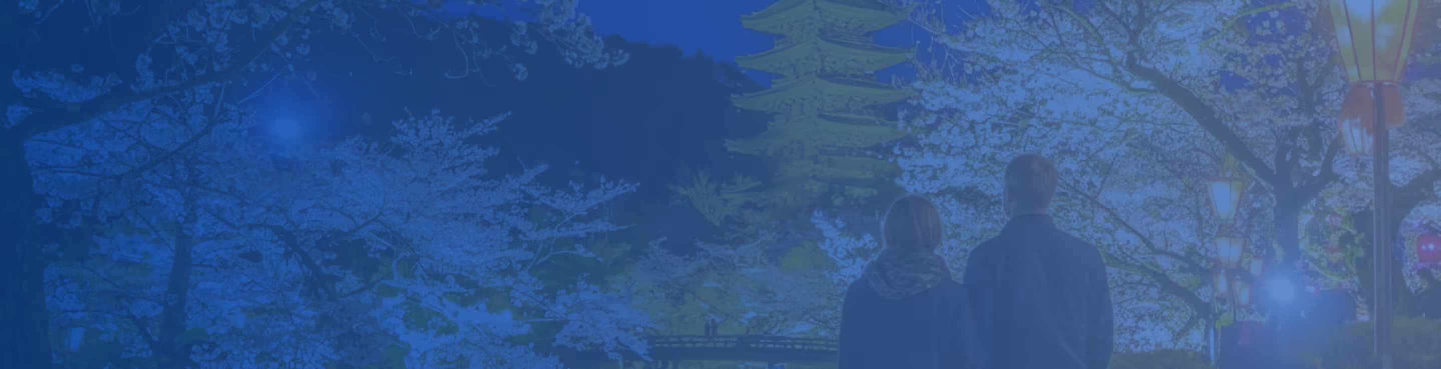 行政関係のウェブサイト制作